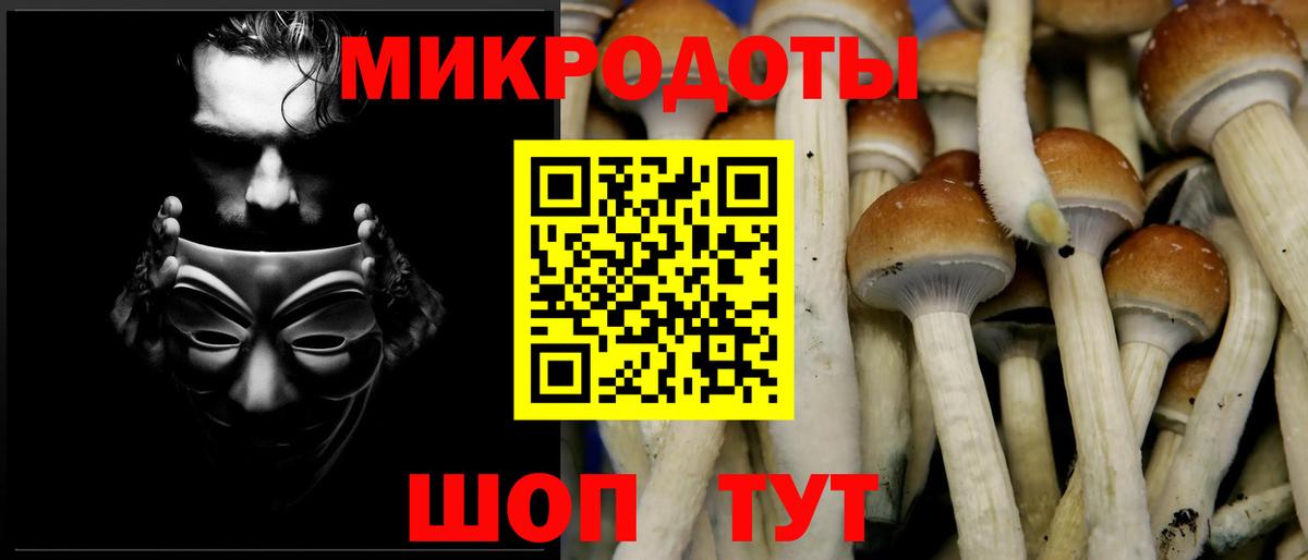 Вязники  Галлюциногенные грибы Psilocybe  Вход с VPN 